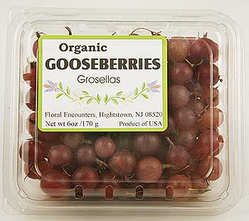 fresh red gooseberries