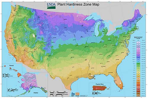 Plant Hardiness map of the United States.