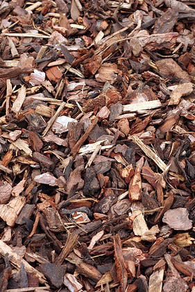 shredded bark/wood chips