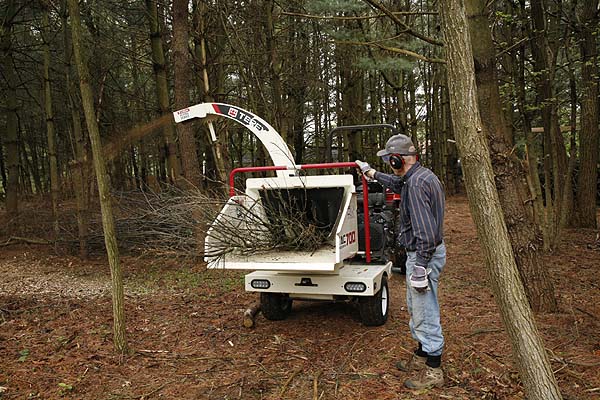 Chipping up the trees to make useful woodchips.