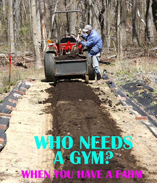 adding compost to field