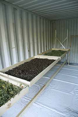 Shelves in herb drying shed