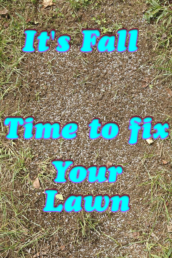 Its fall time to fix your lawn!