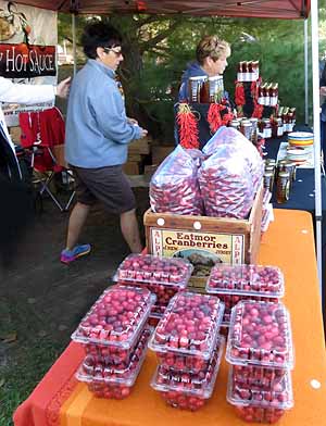 Fresh cranberries for sale