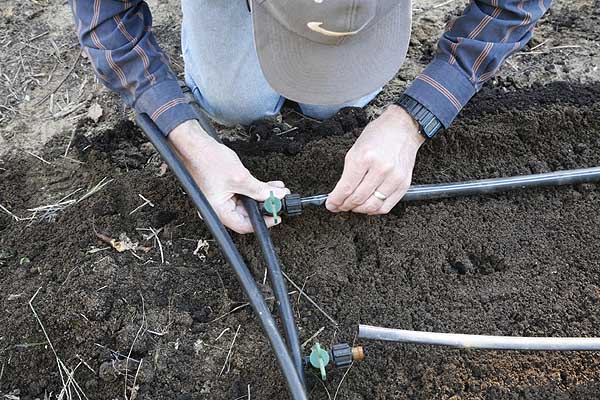 Connecting t-tape irrigation lines to water supply line