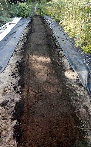 Completed tilled row with compost well mixed into soil