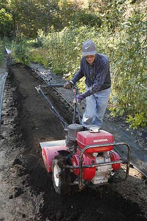 walk beside rototiller