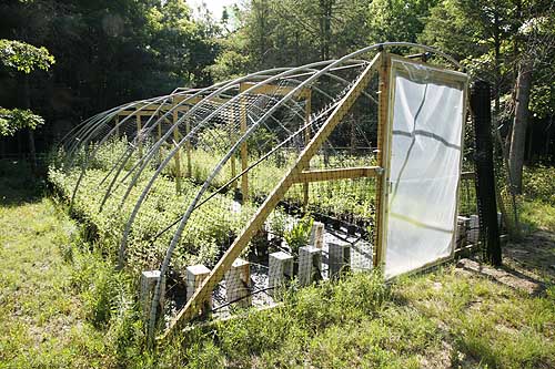 open hoop house