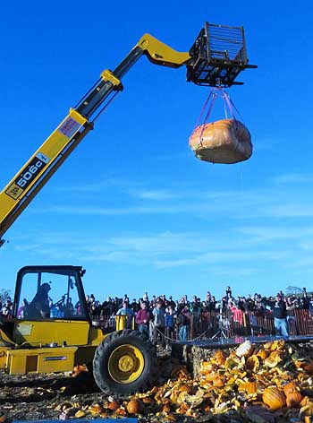 hoisting giant pumpkin up to get dropped.