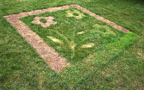 Delightful flowers that never stop blooming. These were cut and burnt into the lawn for more permanence.