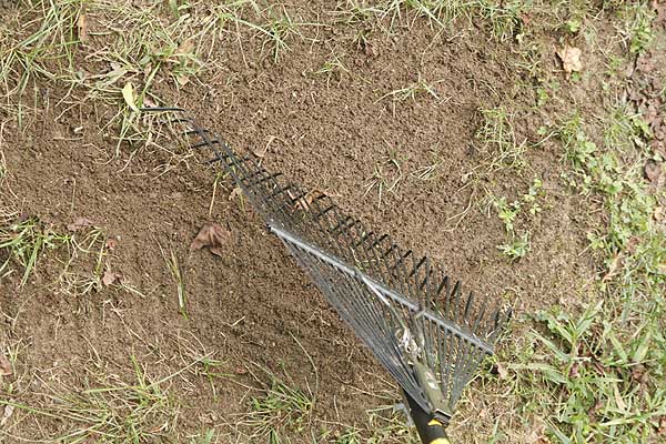 lawn fixing, rake soil