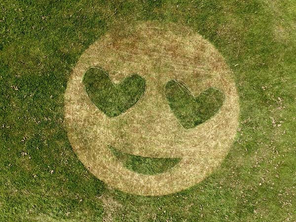 How about a giant smiley face to brighten your neighbourhood.