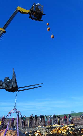 Dropping pumpkins from cherry picker