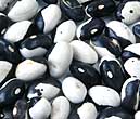 Yin Yang Beans Phaseolis vulgaris