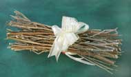 Fennel Bundle