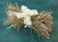 Mexican Tarragon Bundle
