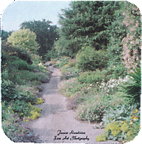 Cottage Garden Path