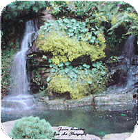 Grotto