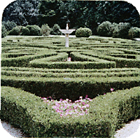 Maze Garden