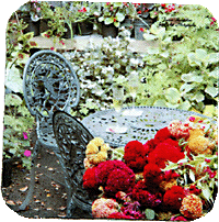 Floral Patio