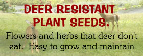 Seeds for deer resistant plants