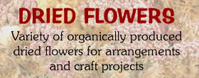 Dried flowers, all organic