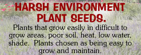 Seeds for tough places