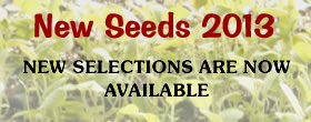 New Seeds for 2012