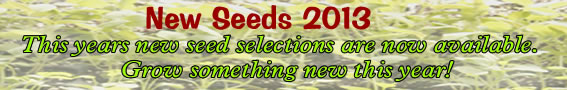 New Seeds for 2013