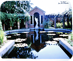 Formal Pond