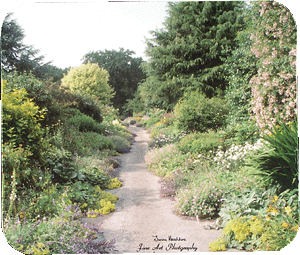 Cottage Garden Path