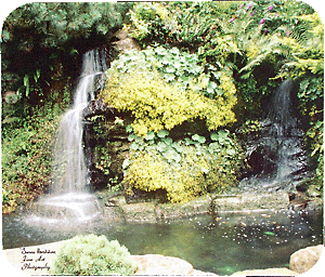 Grotto
