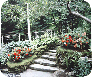 Flowering Woodland Garden
