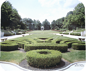 Boxwood View