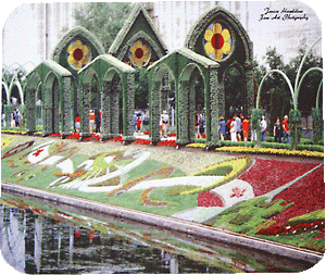 Living Cathedral