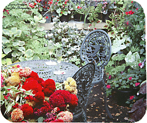 Floral Patio