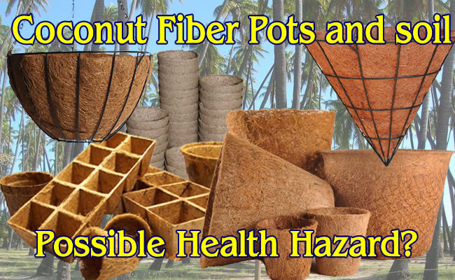 Coconut Fiber For Your Plants.  Good Or Possible Hazard?