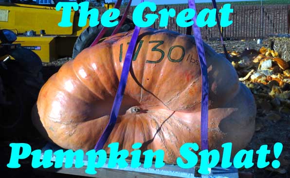 Giant pumpkin in sling