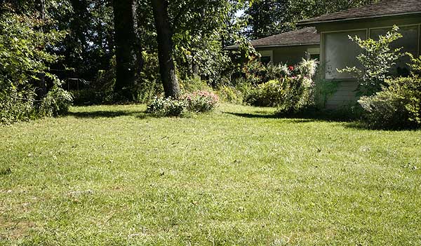 Labor Day Is When You Labor On Your Lawn.
