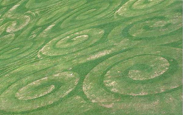 lawn_swirls2