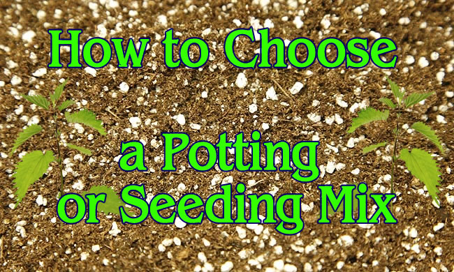 HOW TO CHOOSE A POTTING OR SEEDING MIX