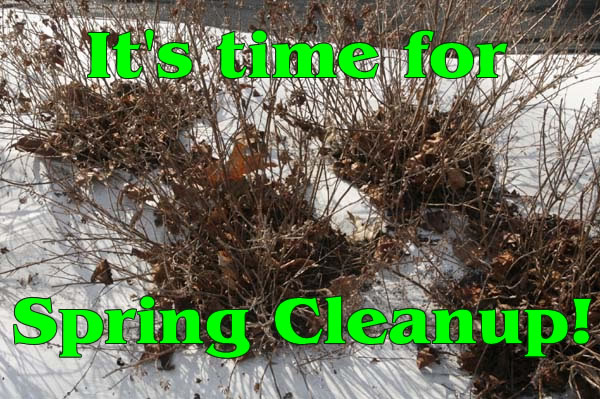 spring_cleanup_words