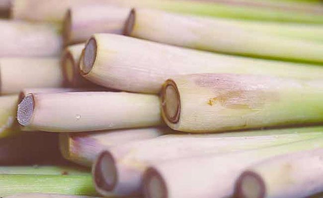 Lemon grass stalks culinary