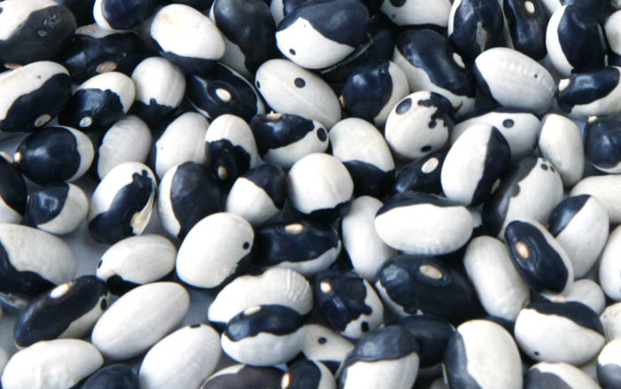 Dried Yin Yang beans group