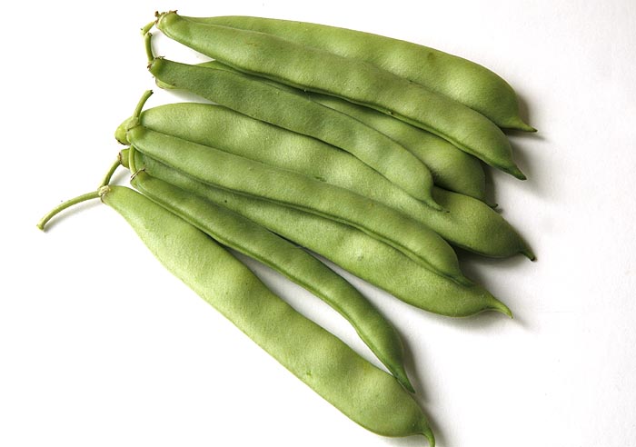 Green pods of Ying Yang Beans