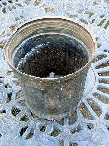 Plastic flower pot saved from earlier potting out