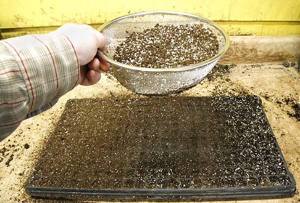 Use a sieve to shake a fine layer of seeding mix onto the top of seeds. This way they are not covered too deeply and you get a good even coating.