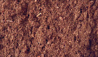 Peat Moss