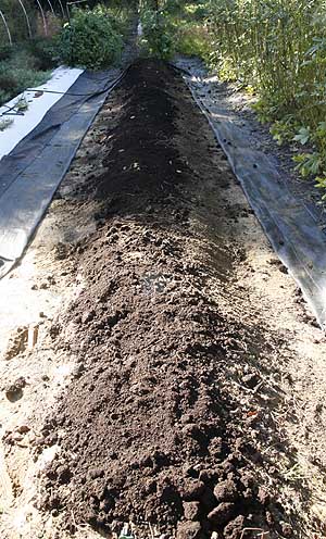 Adding compost